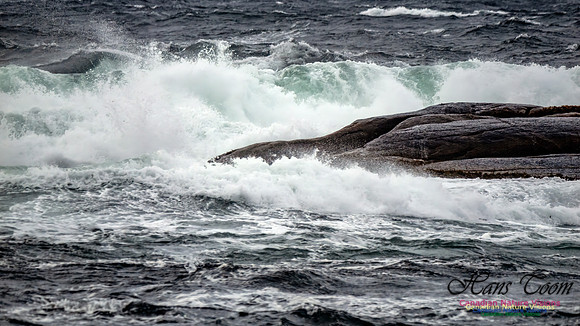 November Gale 3 101