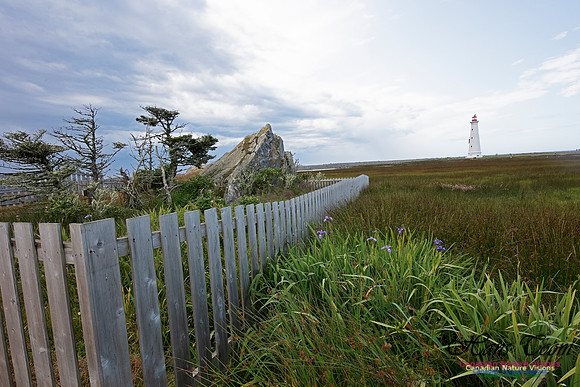 Cape Sable Light 113