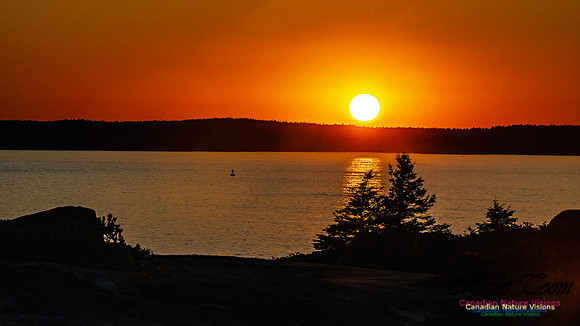 Sunset +1 104