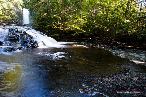 Butchers Falls