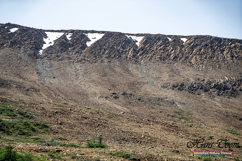 Table Mountains 102