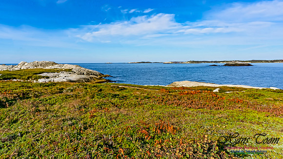 Another Morning Stroll on the Coastal Barrens 119
