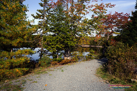 First Fall Photos Nova Scotia 127