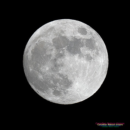Lunar Eclipse 2022 110