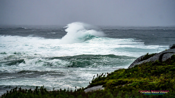 Nova Scotia Gale 2024-09-07 164