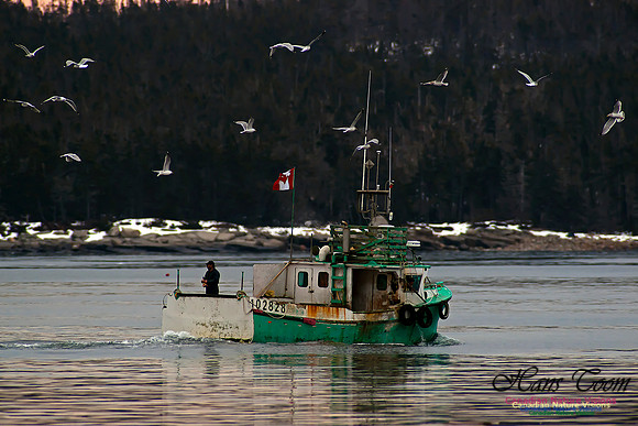 Putting to Sea