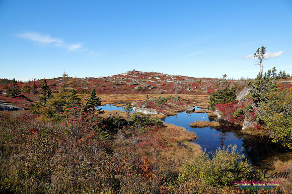 CoastalBarrensFall2016-1018