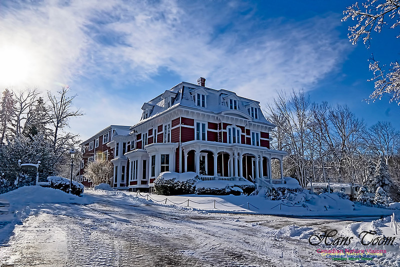 Snow Day 100