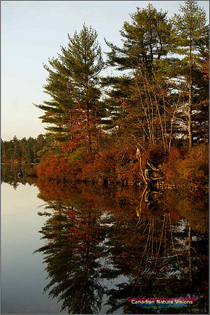 FallColours27 (2)