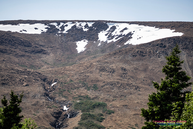 Table Mountains 110