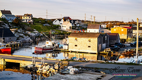 Late Day at Peggy's Cove 117