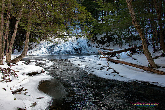Butchers Creek