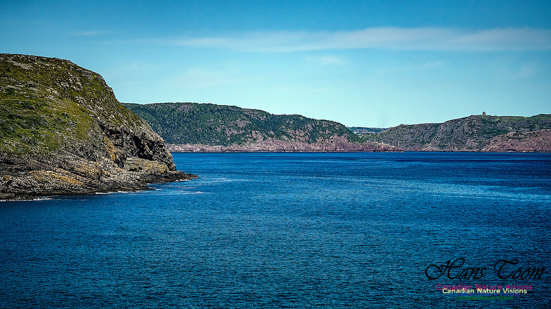 St. John's, Newfoundland 135