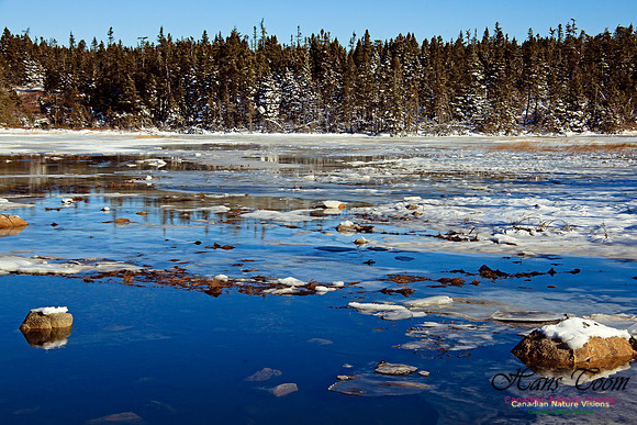 Sambro Head