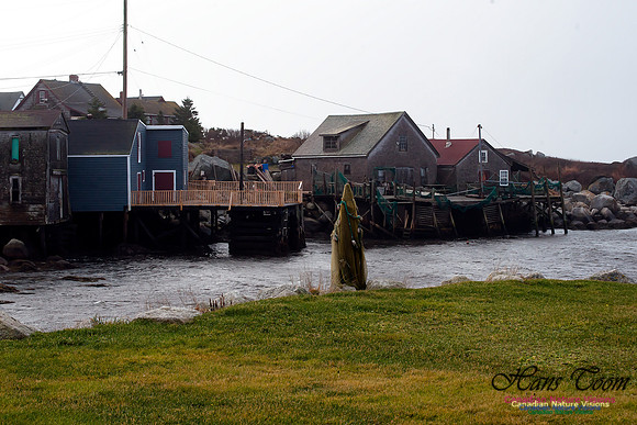 Peggys Cove