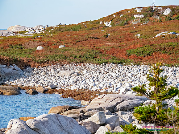 Coastal Barrens 101