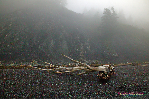 Cape Chignecto Beach Sculpture