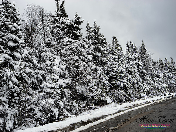 April Snow In Nova Scotia 127