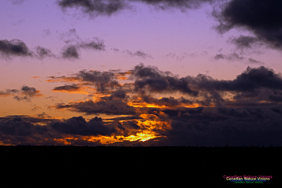 PortugueseCoveSunset2