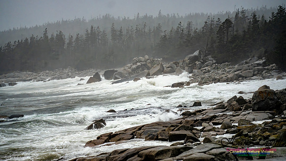 Nova Scotia Gale 2024-09-07 123