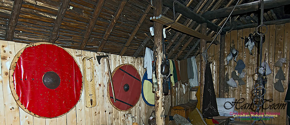 L'Anse aux Meadows 117