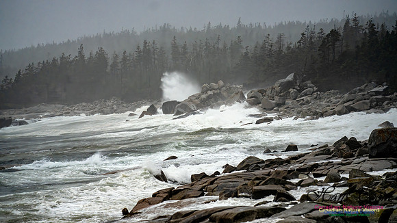 Nova Scotia Gale 2024-09-07 124
