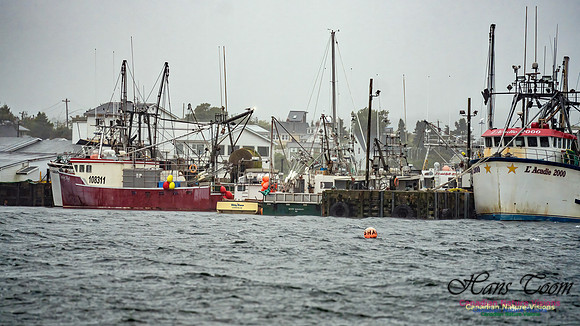 Nova Scotia Gale 2024-09-07 121