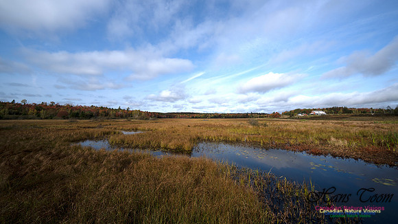 First Fall Photos Nova Scotia 110