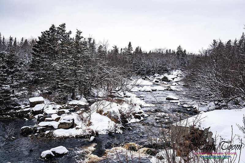 Some Winter Scenes 128