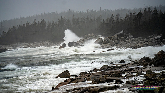 Nova Scotia Gale 2024-09-07 125