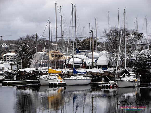 April Snow In Nova Scotia 104
