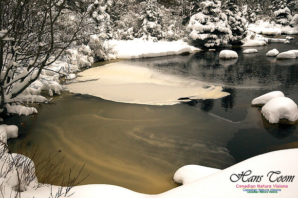 Pennant River