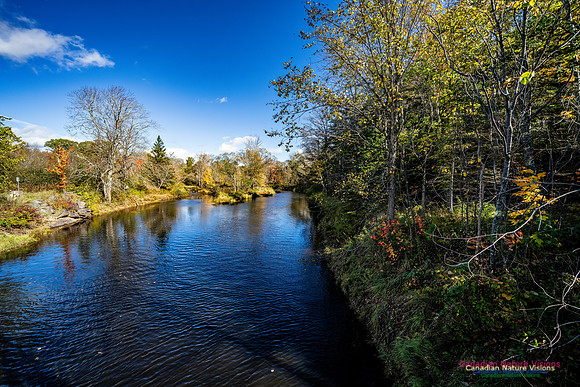 Last Fall Colours of 2024 112