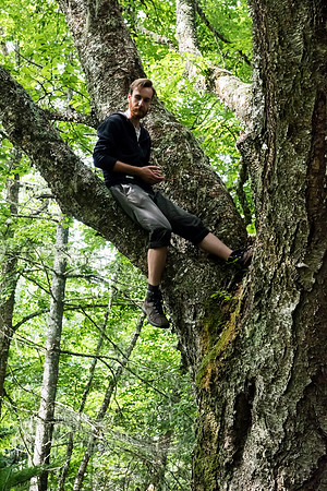 John Himmelman in the Yellow Birch