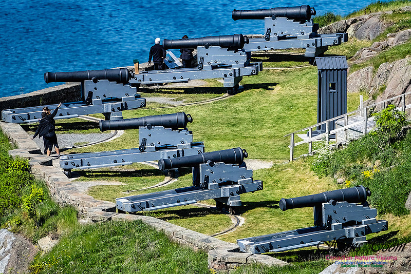 St. John's, Newfoundland 138