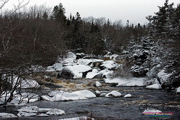 Pennant River