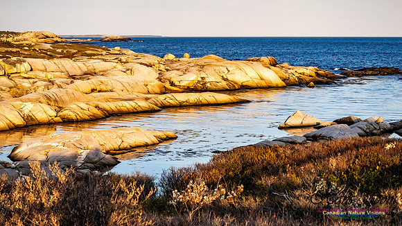 Late Day at Peggy's Cove 126