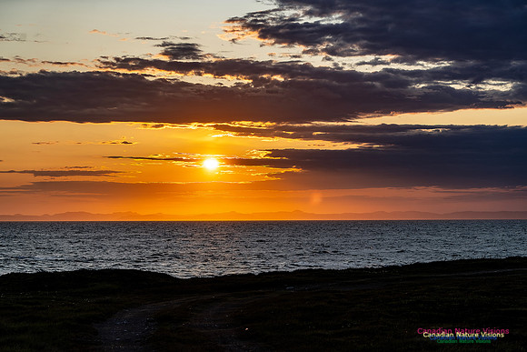 Baccalieu Coastal Drive 115