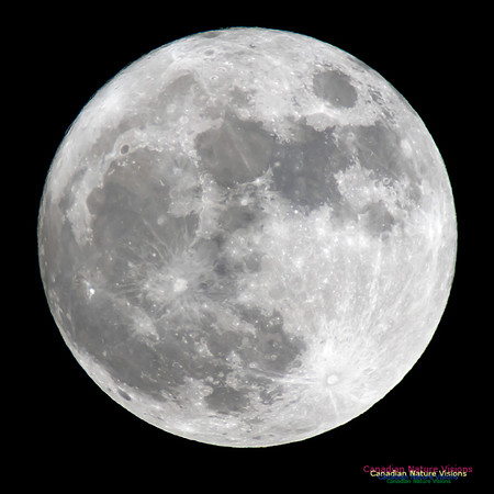 SupermoonDecember13,2016-6