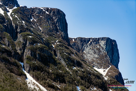Western Brook Pond 222
