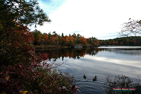 Sir Sanford Fleming Park