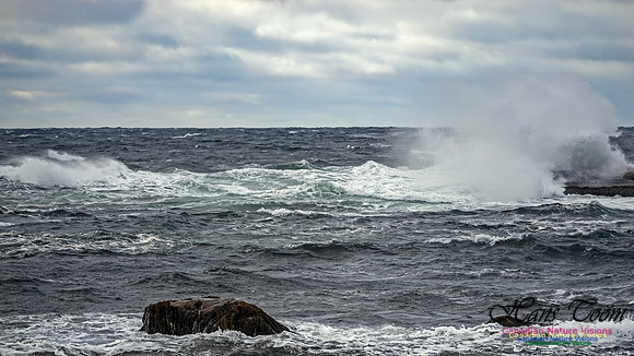 November Gale 3 112