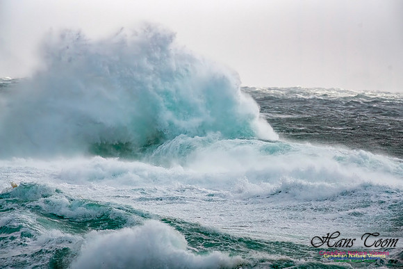 February 17 Gale 133