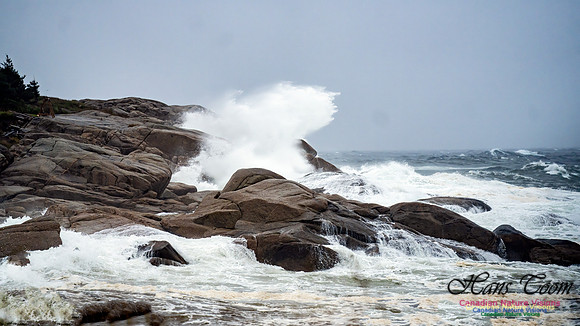 Nova Scotia Gale 2024-09-07 103