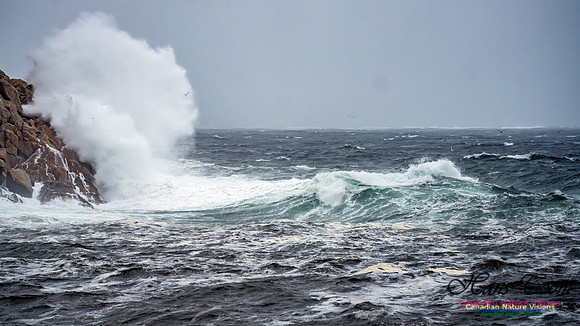 Nova Scotia Gale 2024-09-07 105