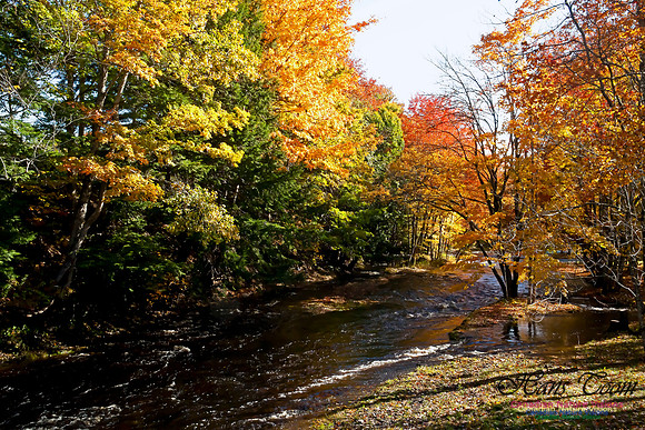 Smileys Provincial Park Fall Colours