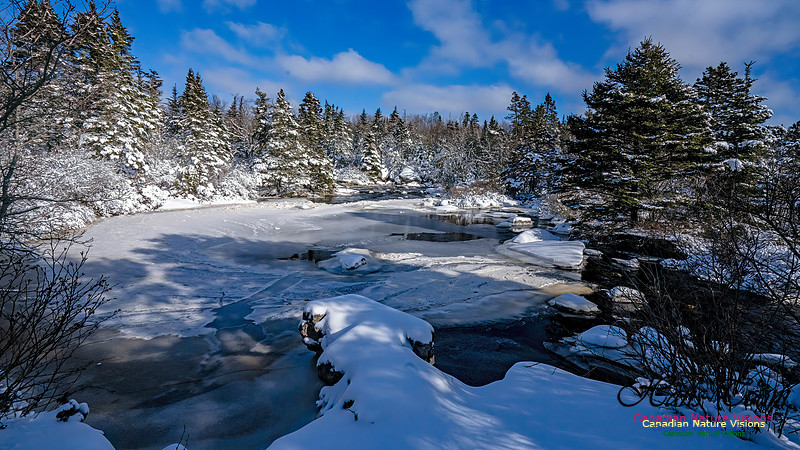 Nova Scotia Winter 341