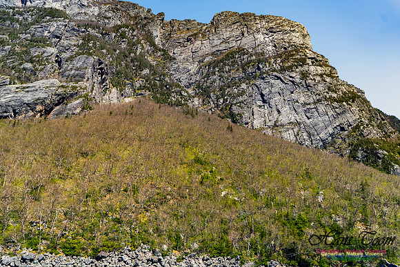 Western Brook Pond 184