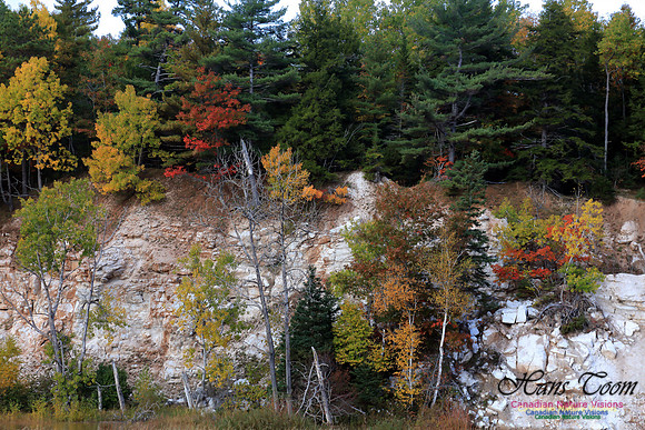 FallColours2016-1011