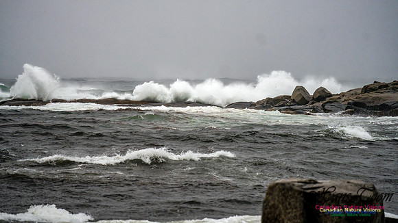 Nova Scotia Gale 2024-09-07 177